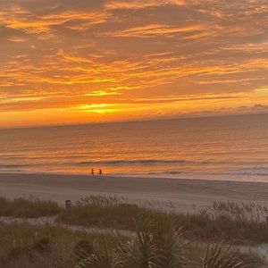 Meet your Posher, Rosa